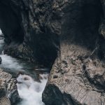 nature5-1.jpg